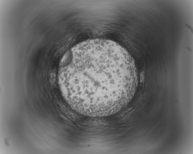 X0000100411011200806271439