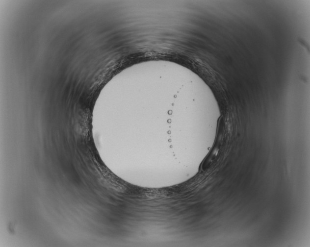 X0000100411012200806271439