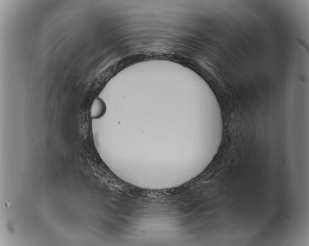 X0000100411015200806271439