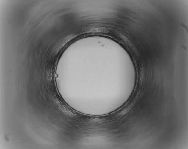 X0000100411017200806271439