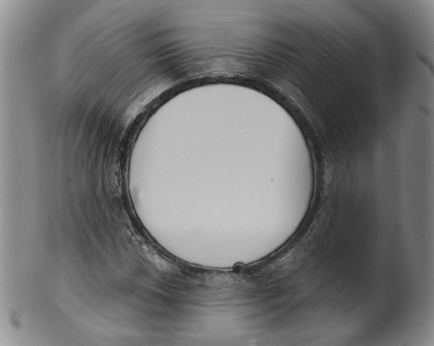 X0000100411018200806271439