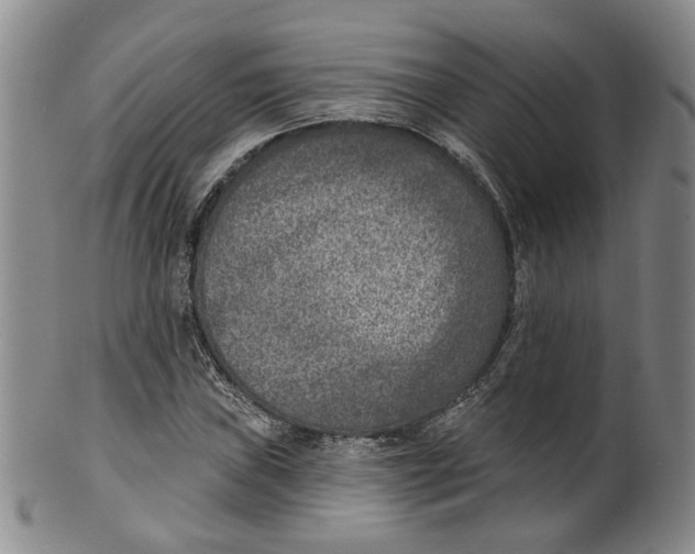 X0000100411019200806271439