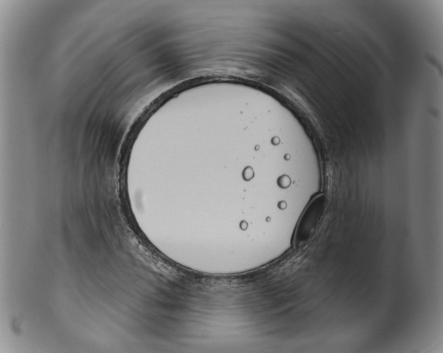 X0000100411020200806271439