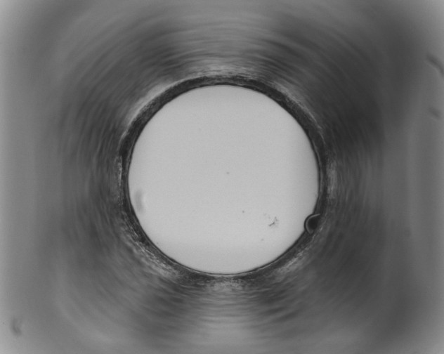 X0000100411021200806271439