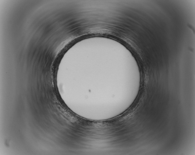 X0000100411022200806271439