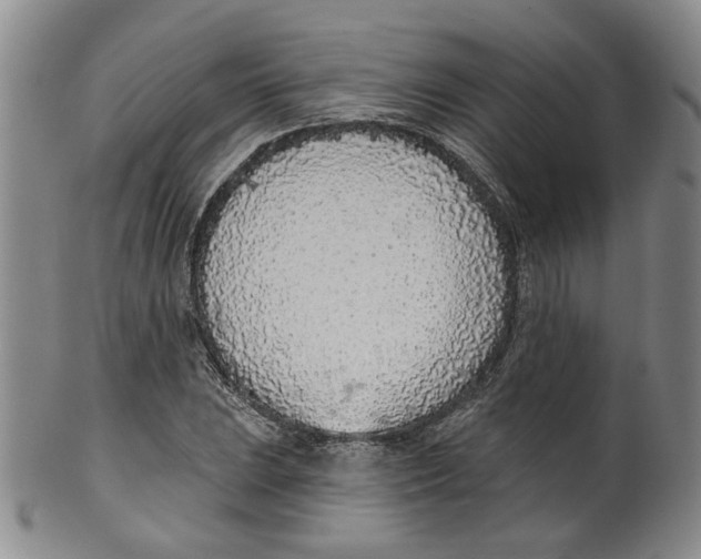 X0000100411023200806271439