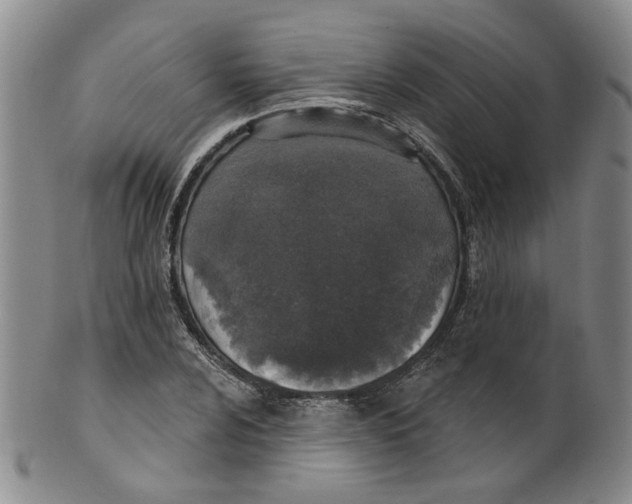 X0000100411024200806271439