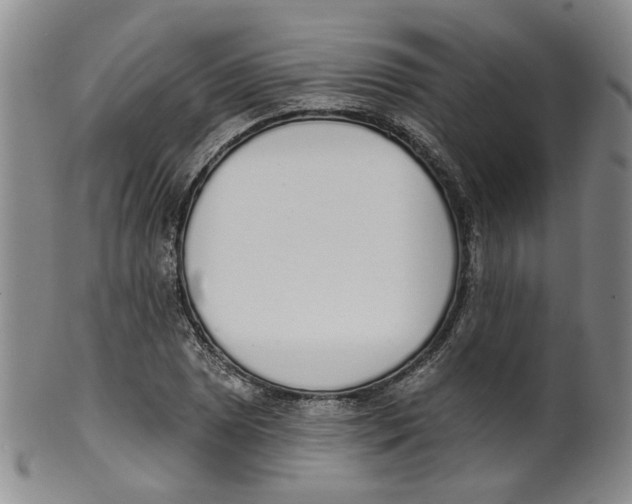 X0000100411025200806271439