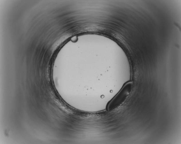 X0000100411026200806271439