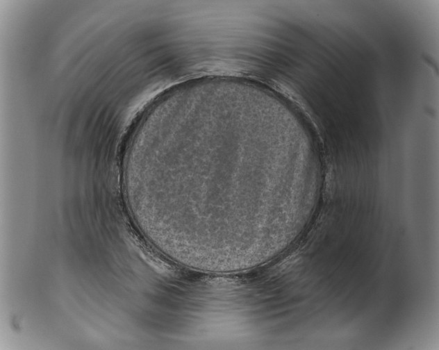 X0000100411027200806271439