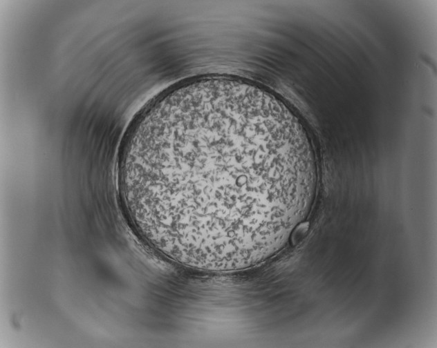 X0000100411028200806271439