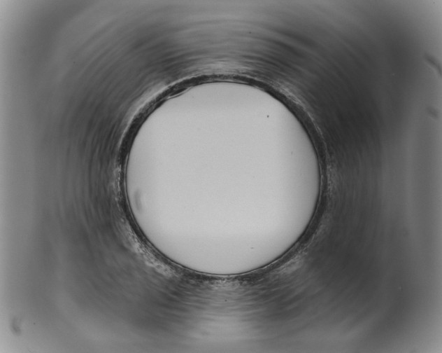 X0000100411029200806271439