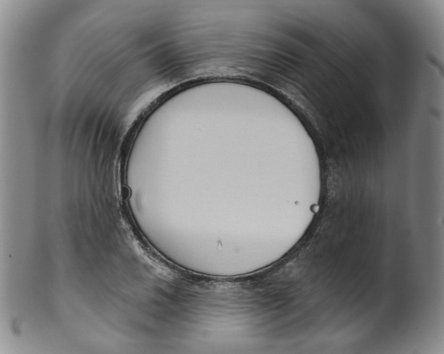 X0000100411030200806271439