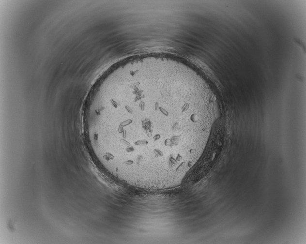 X0000100411031200806271439