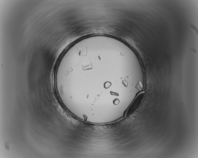 X0000100411032200806271439