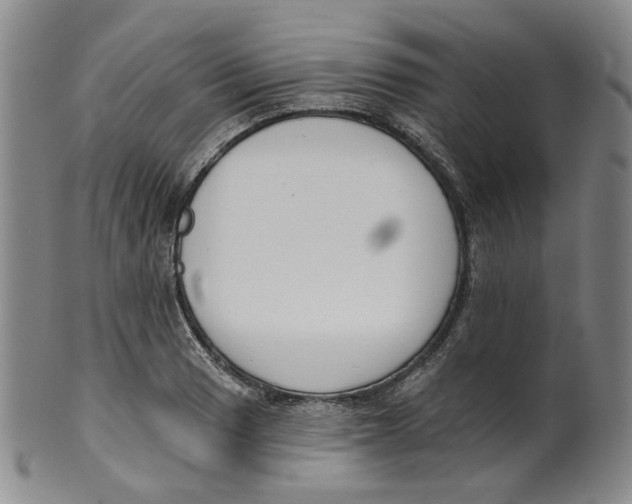 X0000100411033200806271439