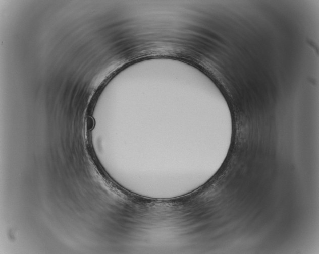 X0000100411034200806271439