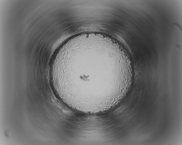 X0000100411035200806271439