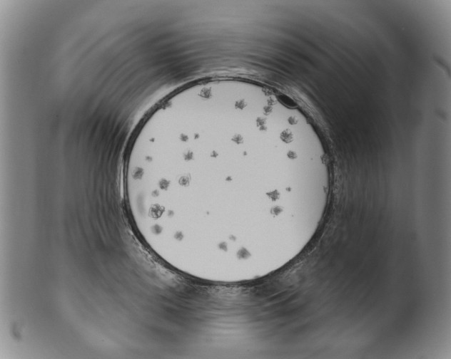 X0000100411036200806271439