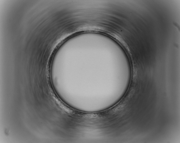 X0000100411037200806271439