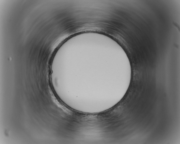 X0000100411038200806271439