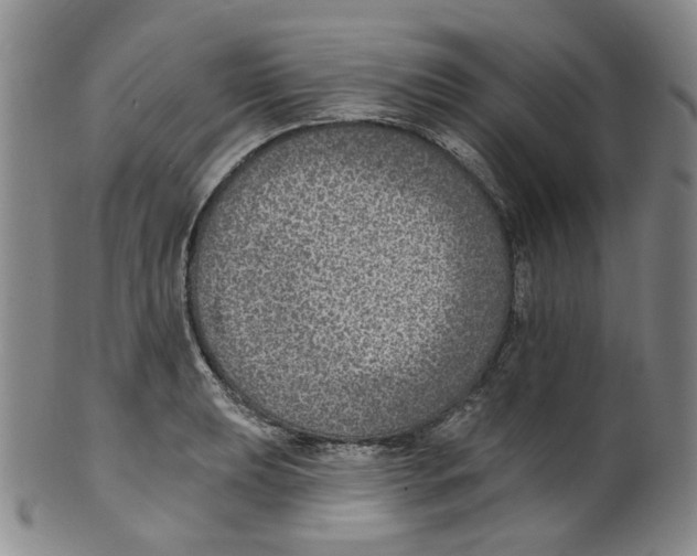 X0000100411039200806271439