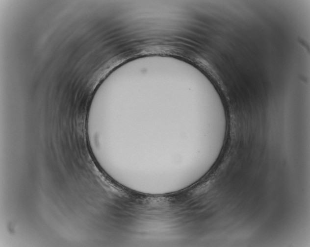 X0000100411041200806271439