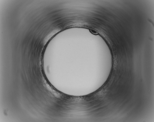 X0000100411042200806271439