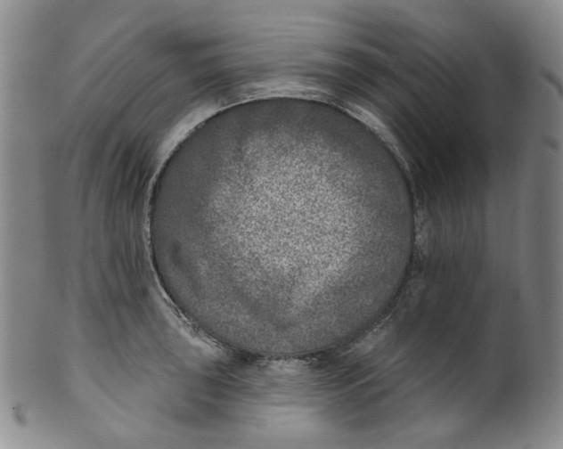 X0000100411043200806271439