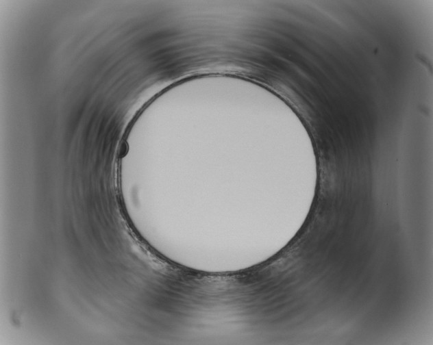 X0000100411044200806271439