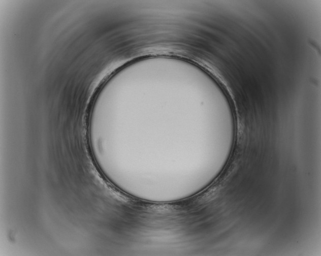 X0000100411045200806271439