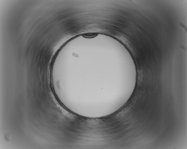 X0000100411046200806271439