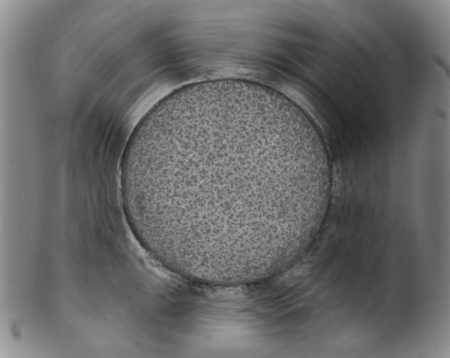 X0000100411047200806271439