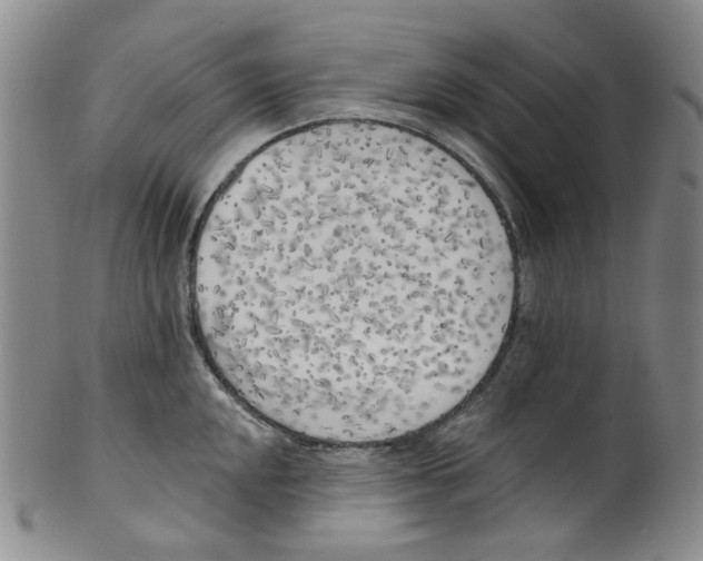 X0000100411048200806271439