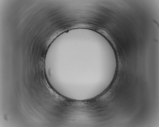 X0000100411049200806271439