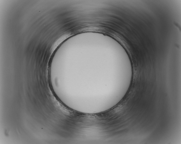 X0000100411050200806271439