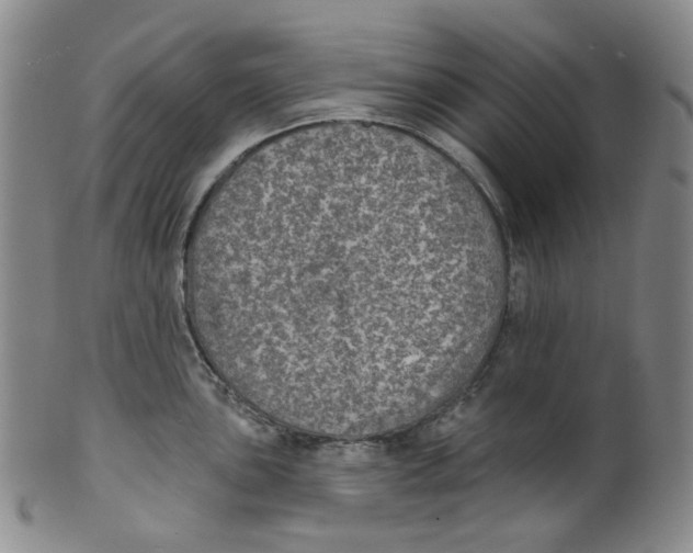 X0000100411051200806271439