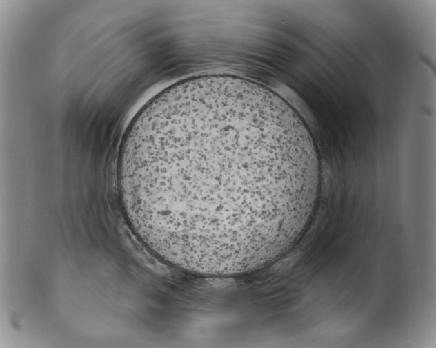 X0000100411052200806271439