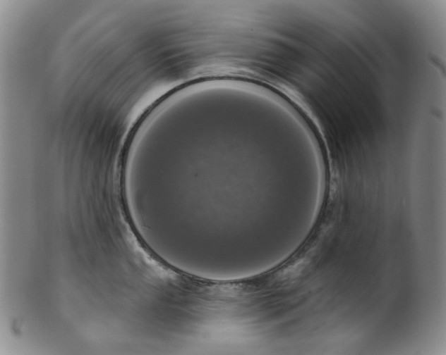 X0000100411053200806271439