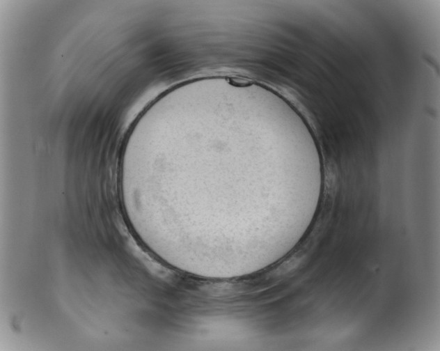 X0000100411054200806271439