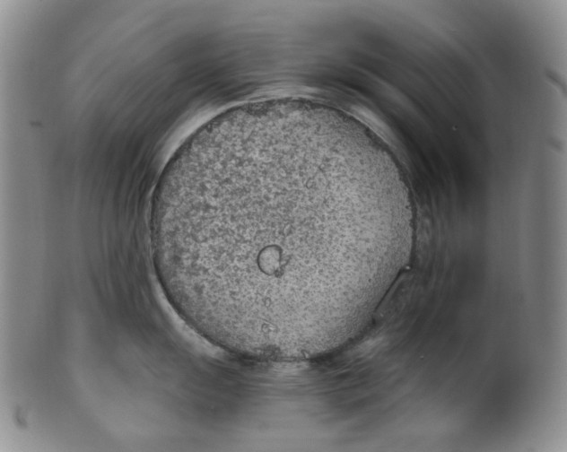 X0000100411055200806271439