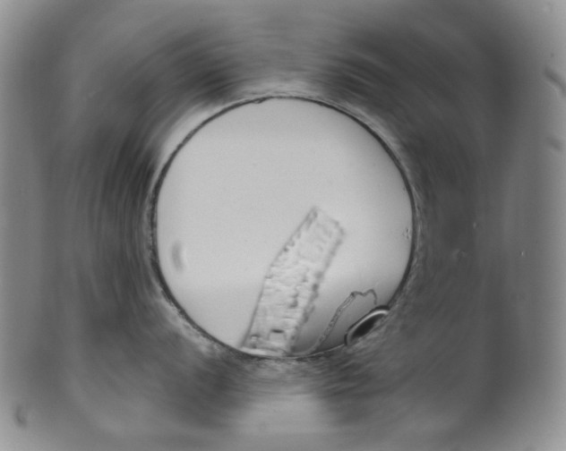 X0000100411056200806271439