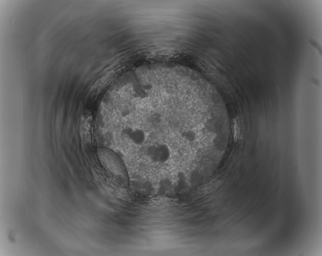 X0000100411059200806271439