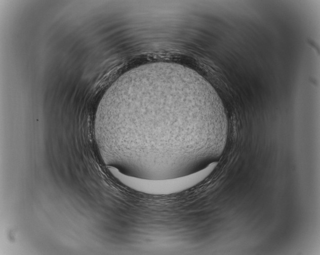 X0000100411060200806271439