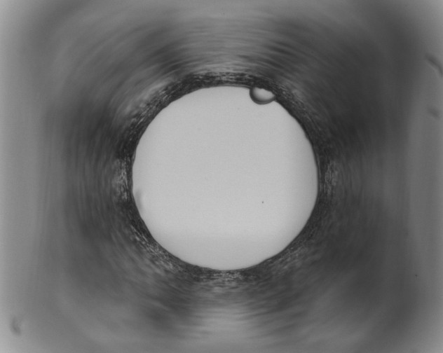 X0000100411062200806271439