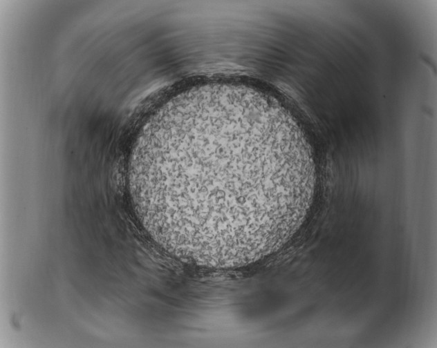 X0000100411063200806271439