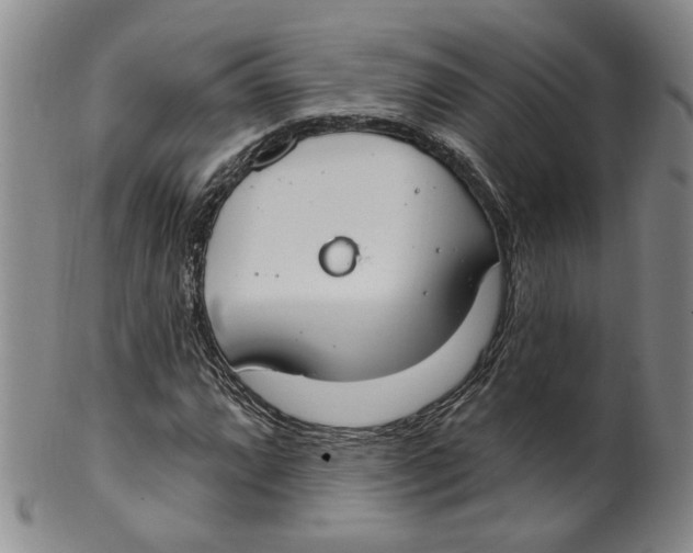 X0000100411064200806271438