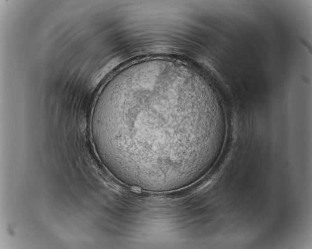 X0000100411065200806271438