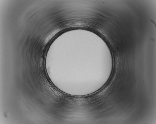 X0000100411066200806271438