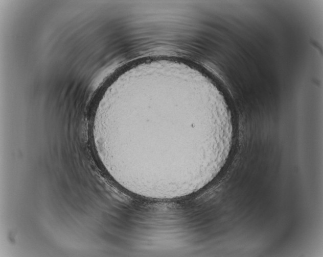 X0000100411067200806271438